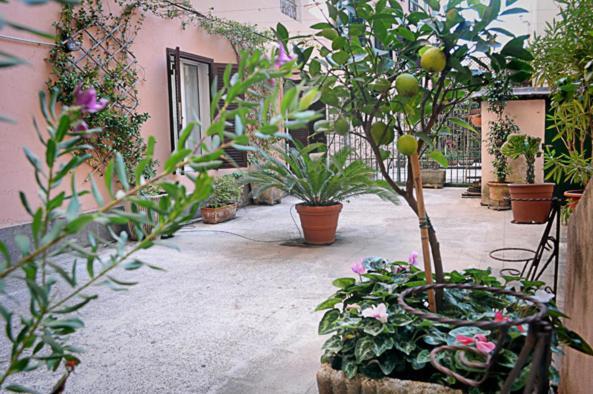 Appartamento Minerva House Roma